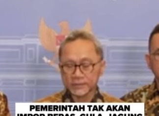 Zulkifli Hasan : Indonesia Tidak akan Impor Pangan di Tahun 2025