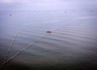 Dua Da’i Kondang Ini Sebut Nama Fir’aun pada Kasus Kaveling dan Pagar Laut