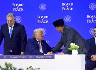 Indonesia Putuskan Ikut Berpartisipasi Bayar Iuran Dewan Perdamaian Trump?
