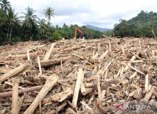 Sumatra Berduka, Jejak Keserakahan Kapitalisme Kian Nyata